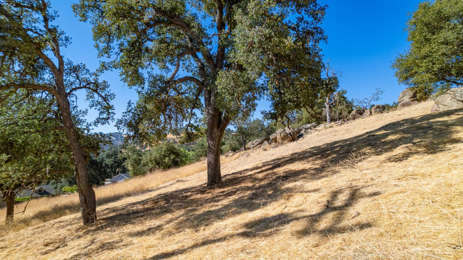 Alameda Place photo 8