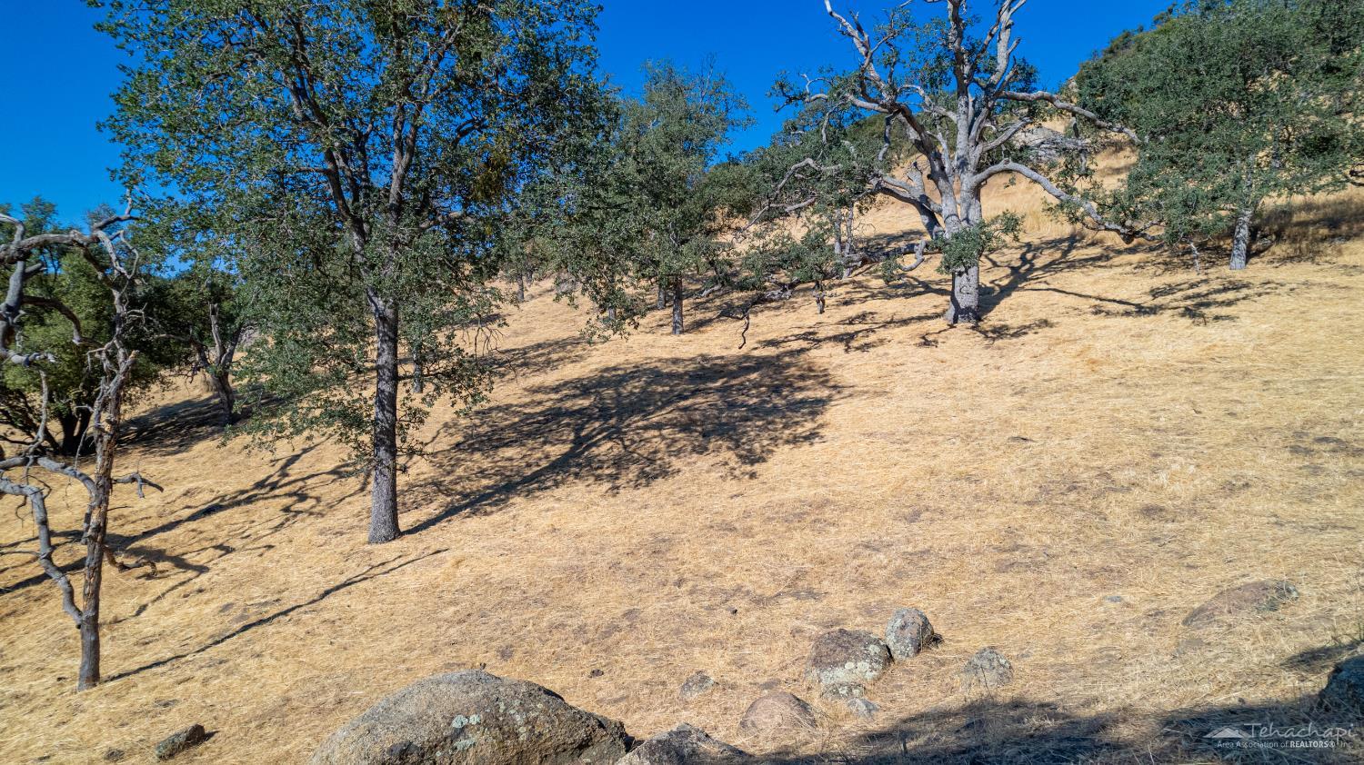 Alameda Place photo 3