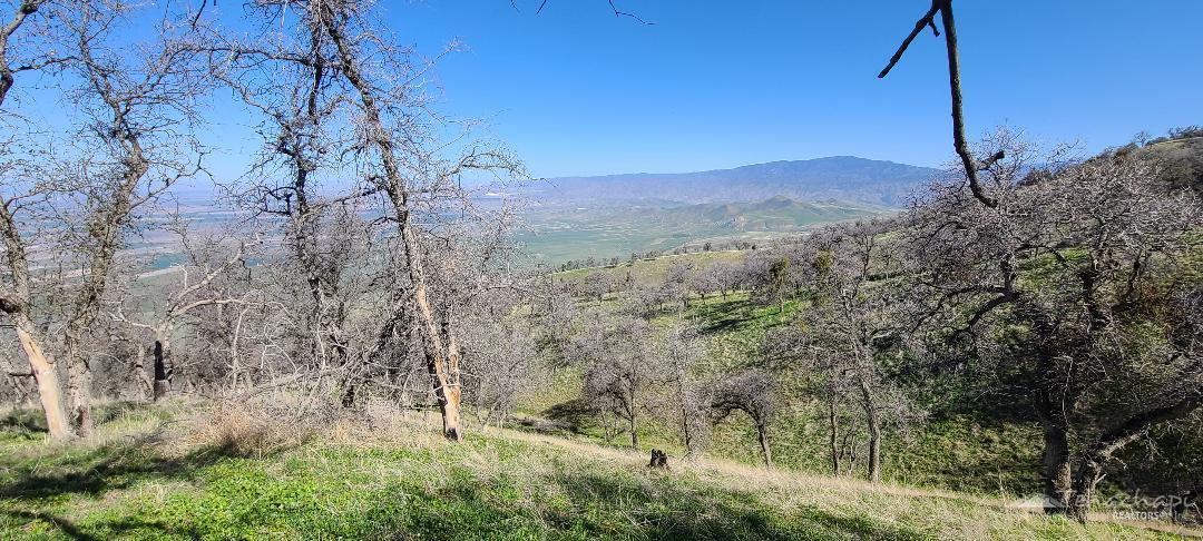 Deertrail Drive photo 14
