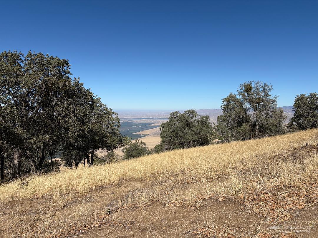 Deertrail Drive photo 5