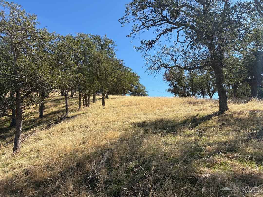 Deertrail Drive photo 11