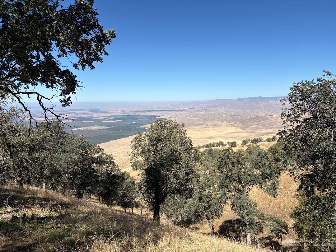 Deertrail Drive photo 10