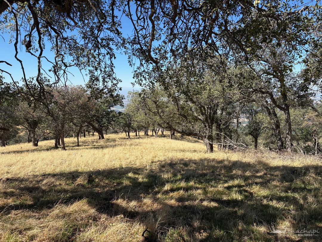 Deertrail Drive, Tehachapi