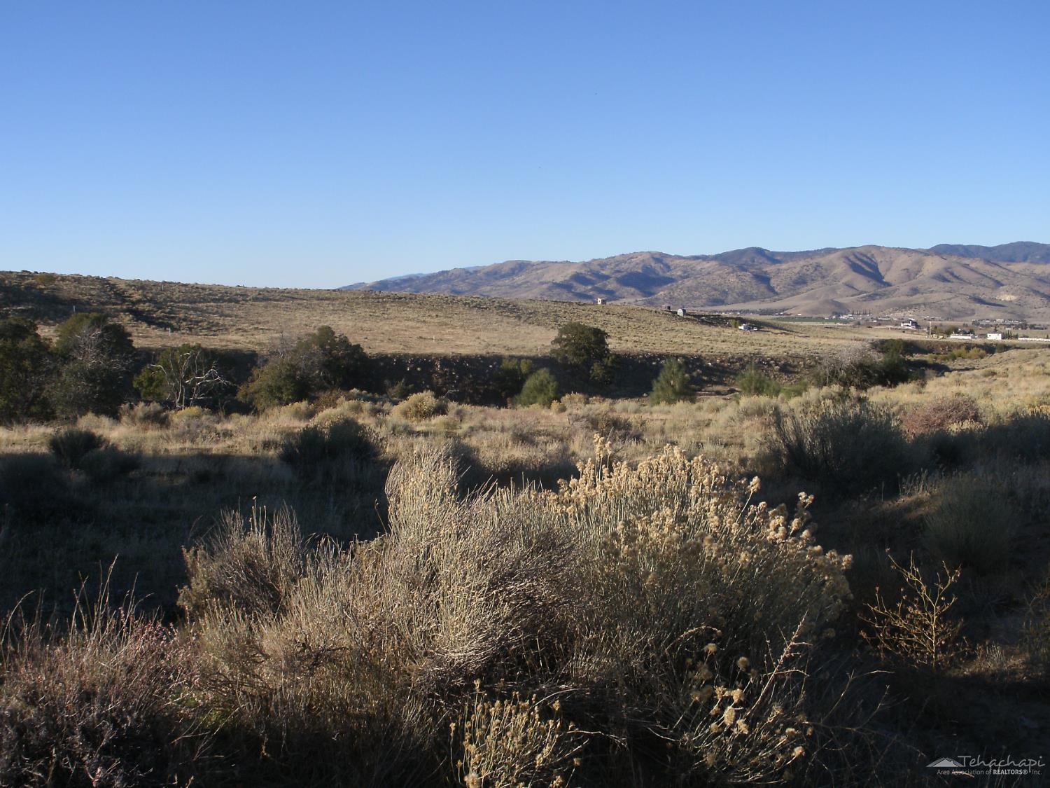Summers Drive photo 4