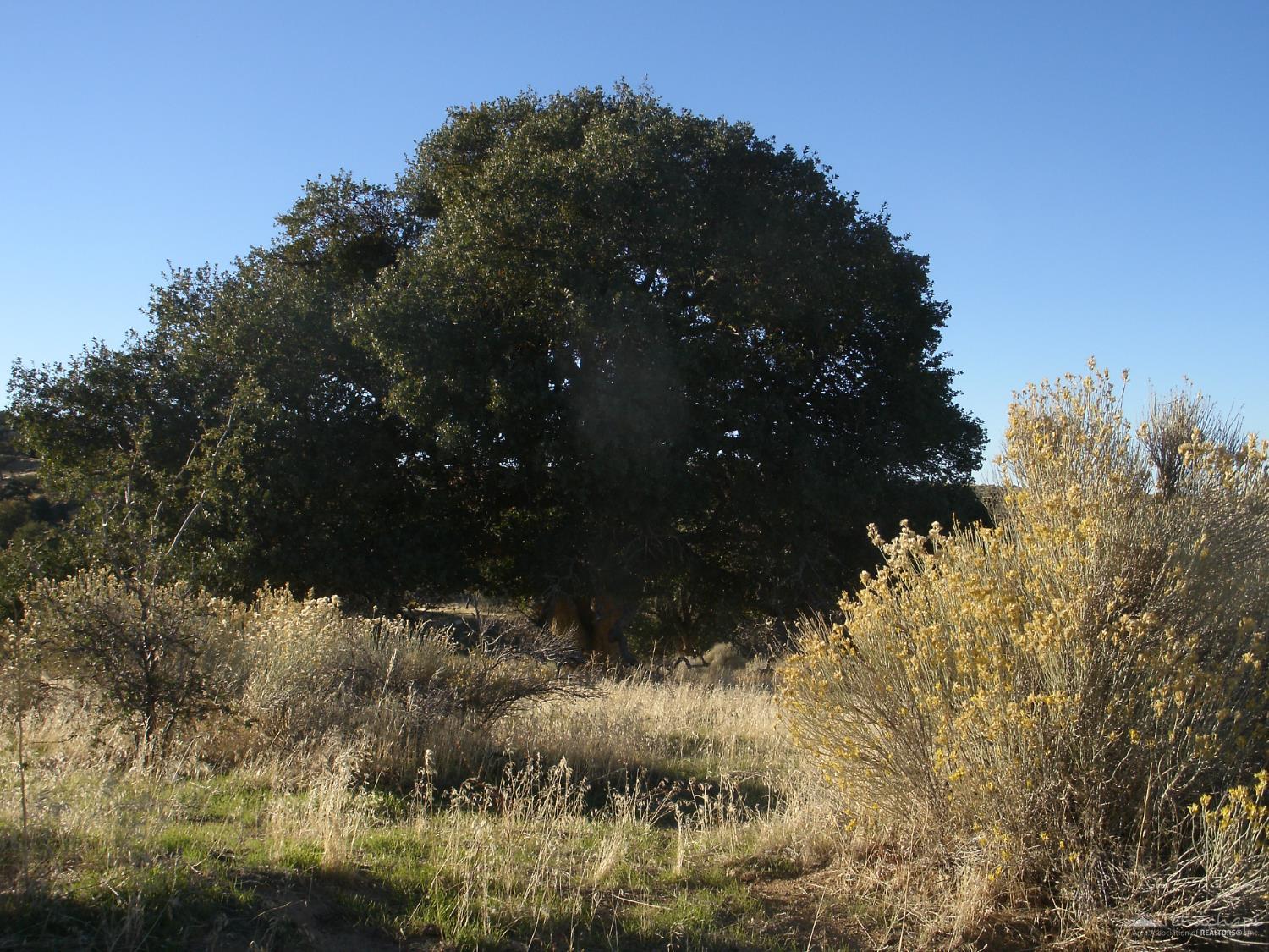 Summers Drive, Tehachapi