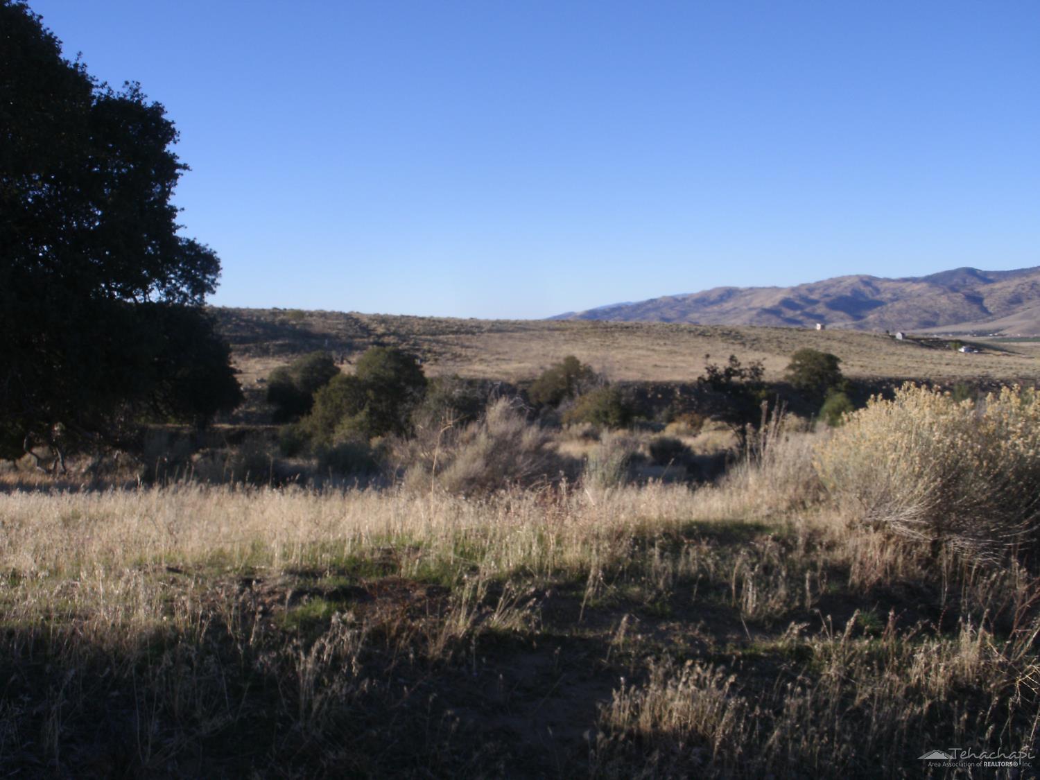 Summers Drive photo 5
