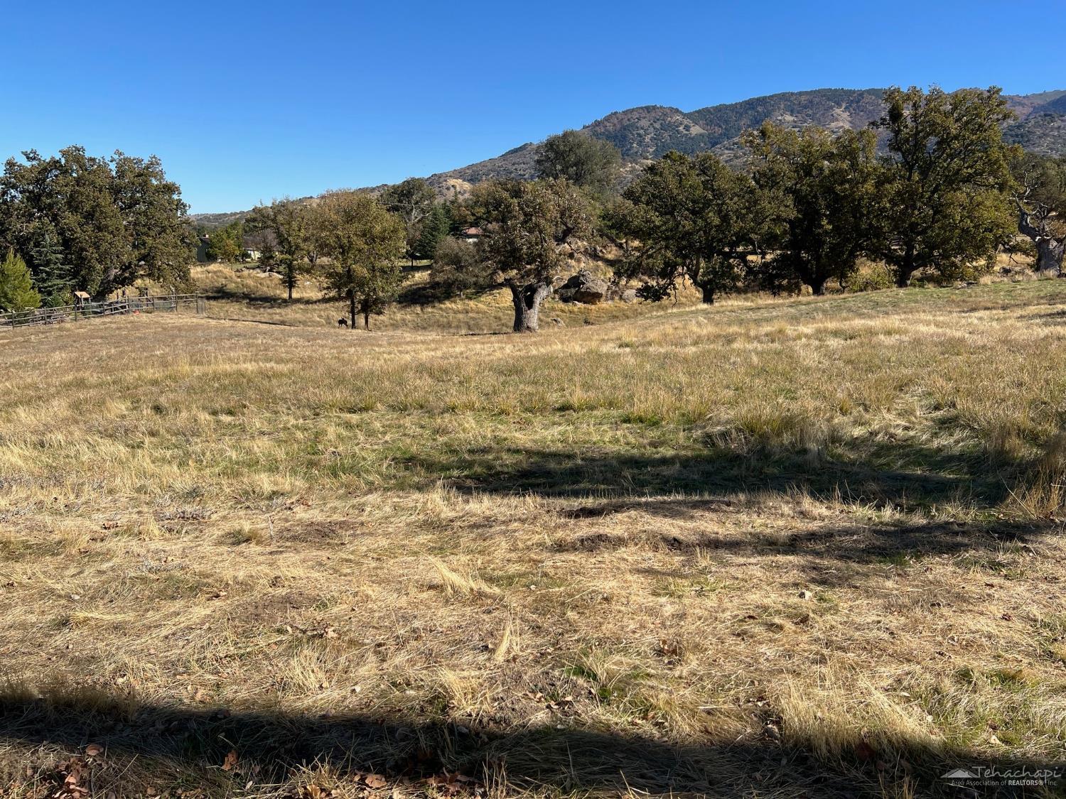 Cedar Canyon Drive, Stallion Springs