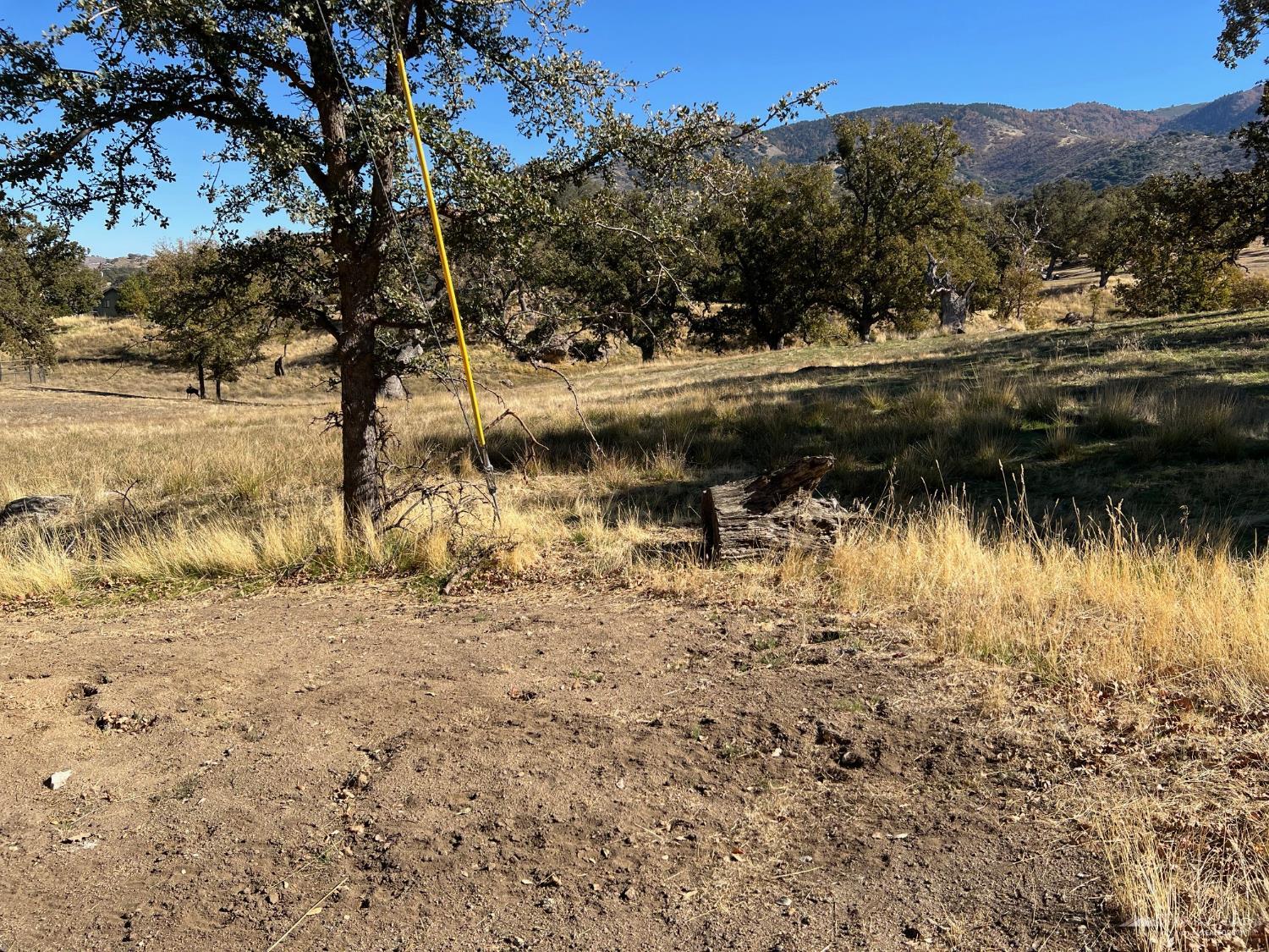 Cedar Canyon Drive photo 2