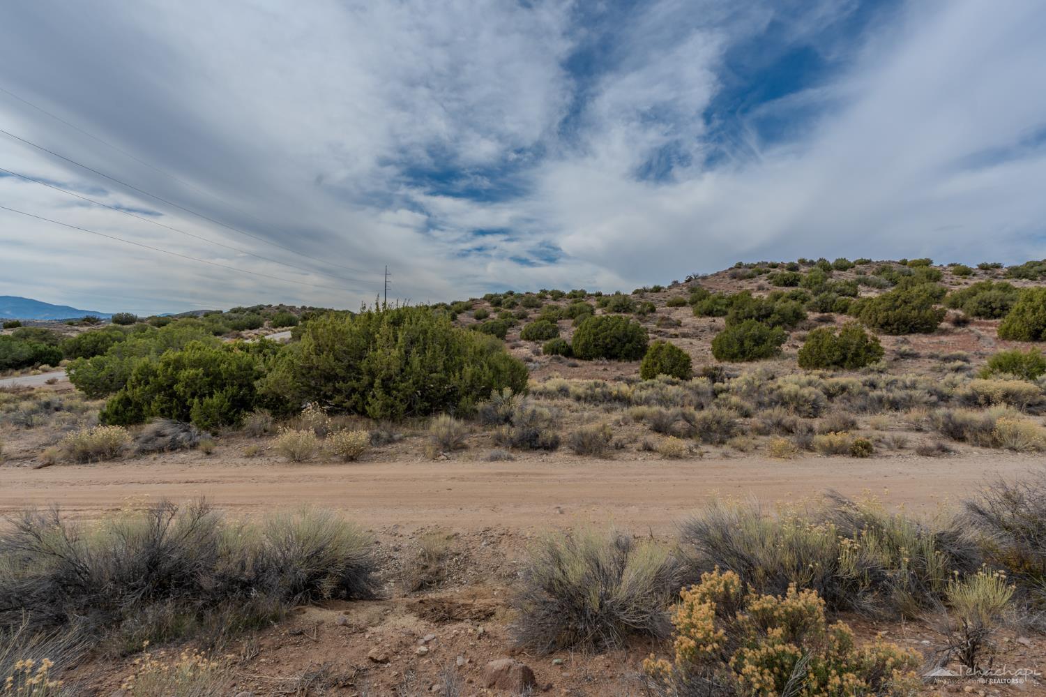 Ponderosa St. Lot #53 photo 9