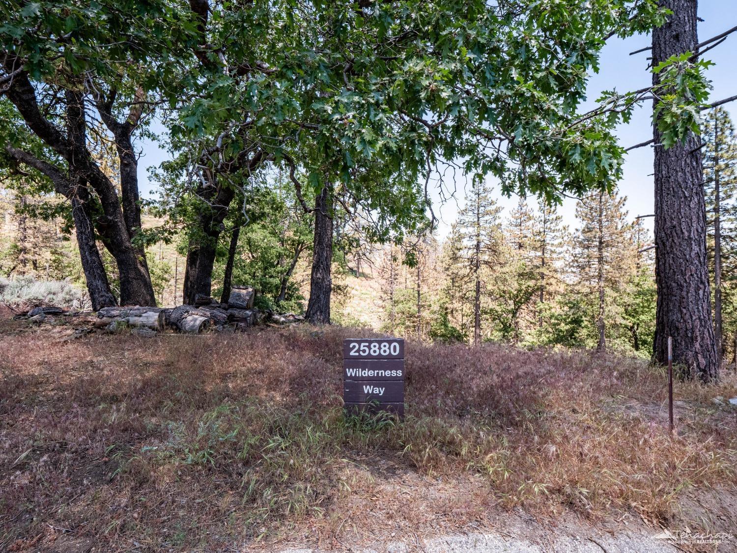 Wilderness Way photo 4