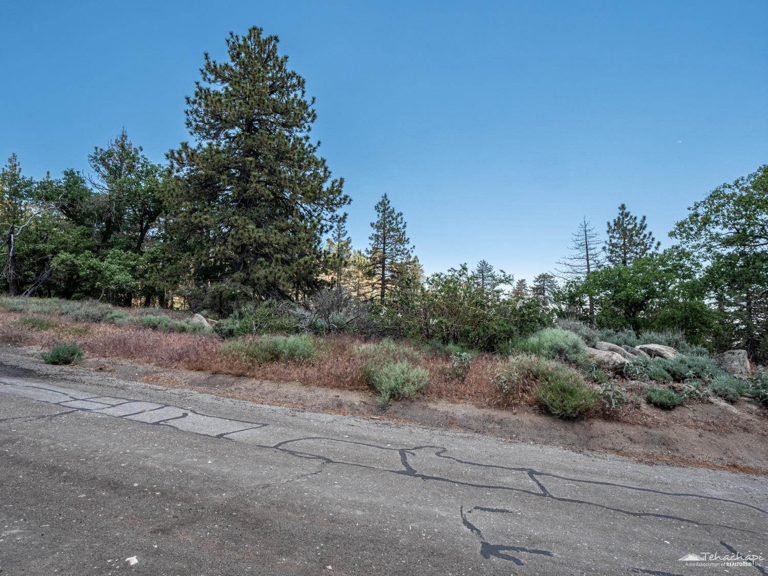 Wilderness Way photo 2