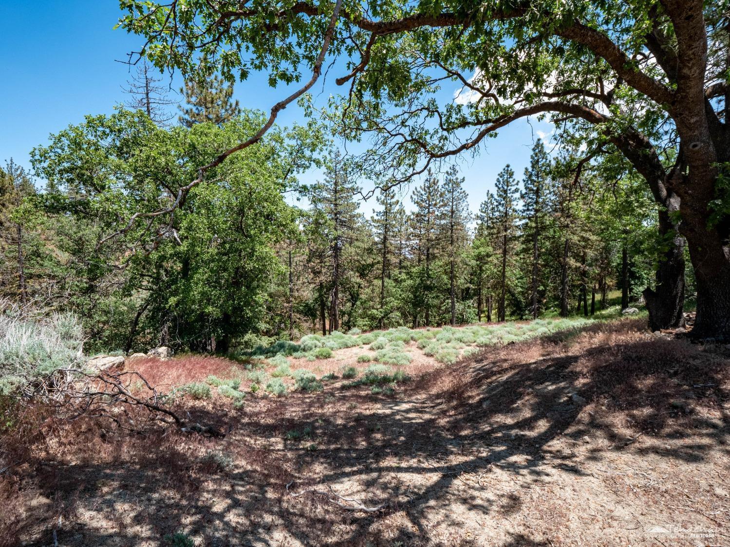 Wilderness Way photo 5