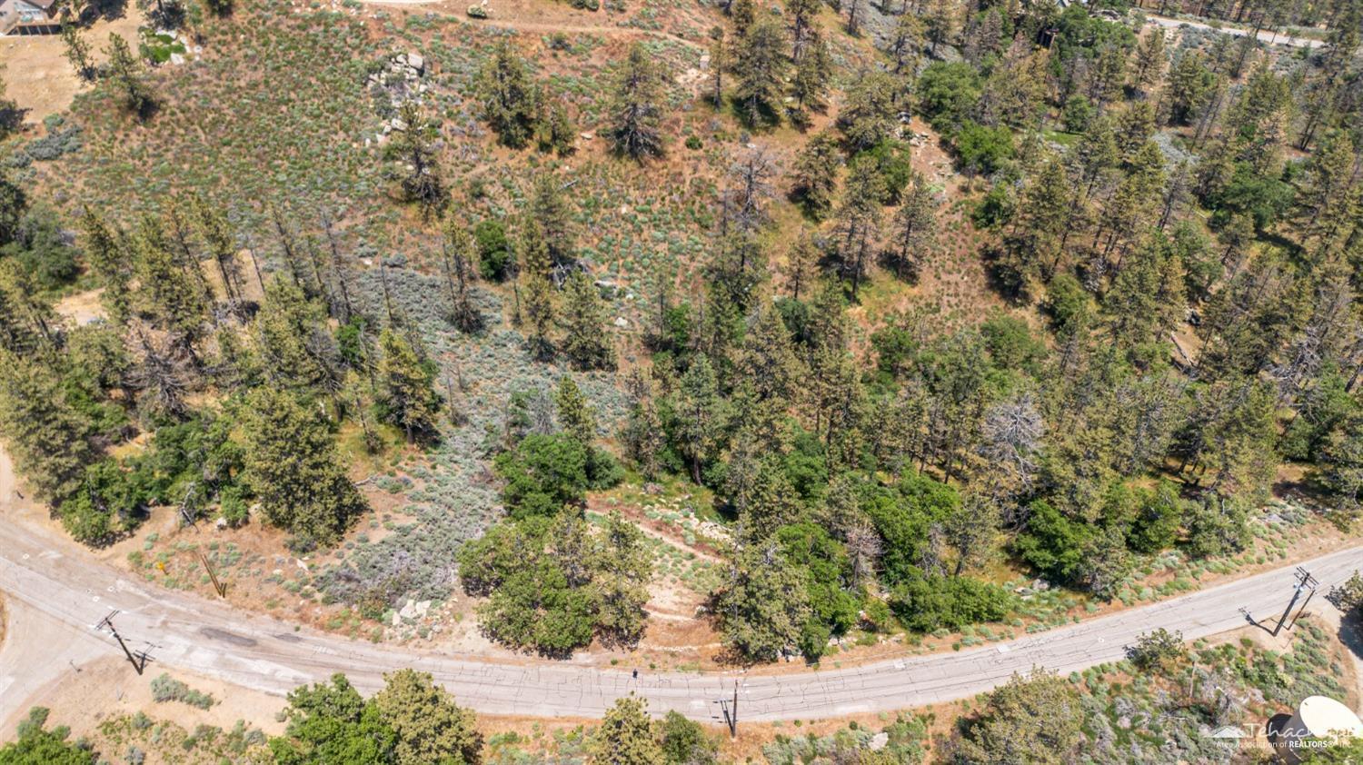Wilderness Way photo 3