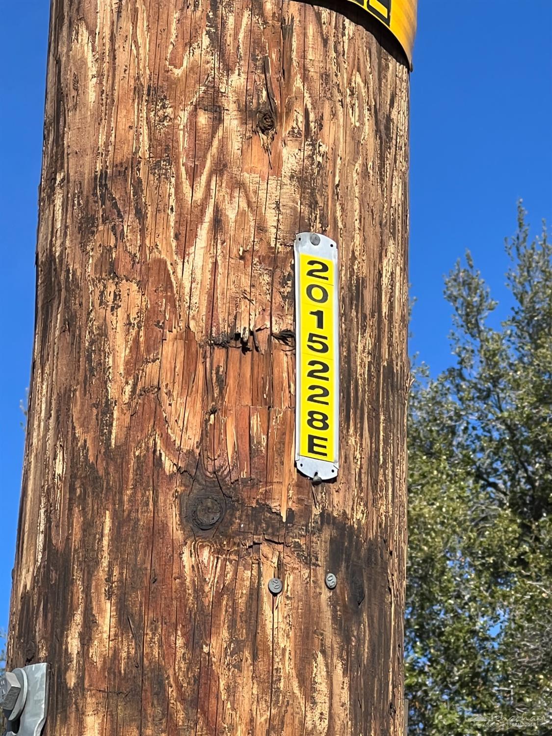 paramount Drive photo 6