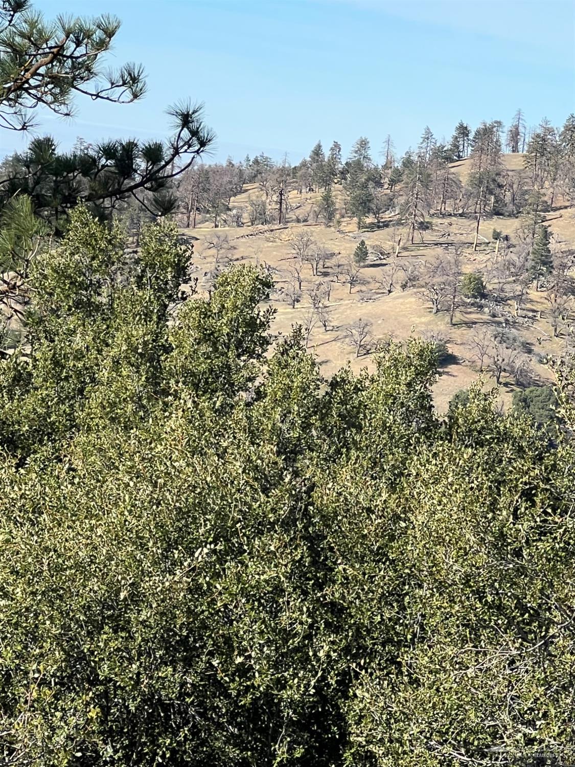 paramount Drive photo 2