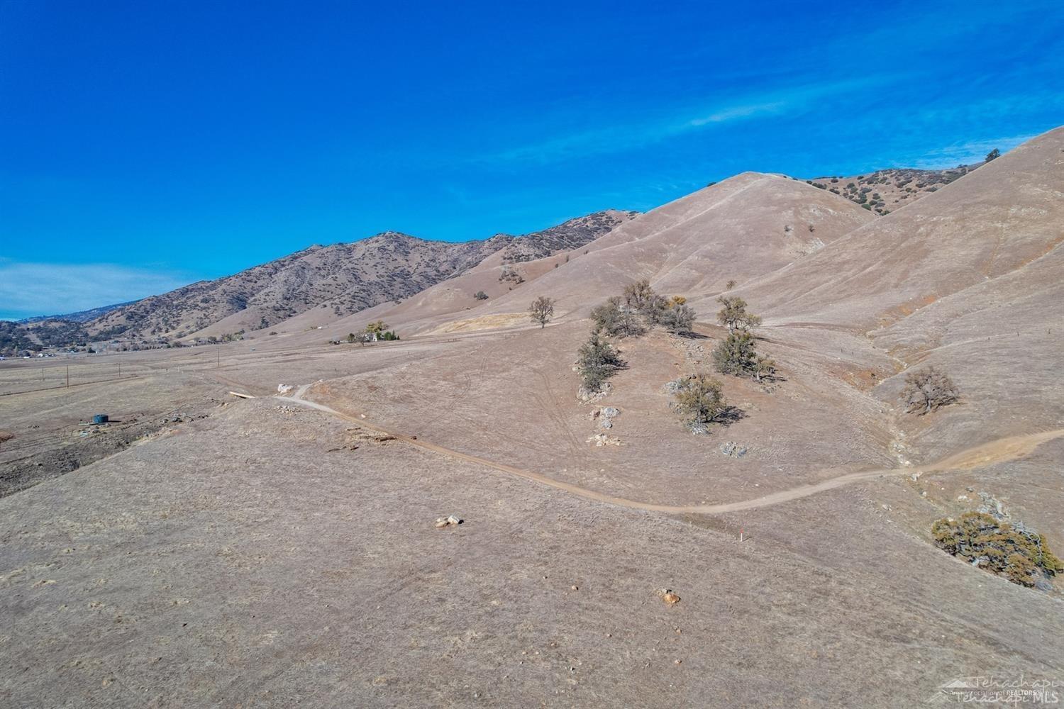 STE Highway 202 photo 6