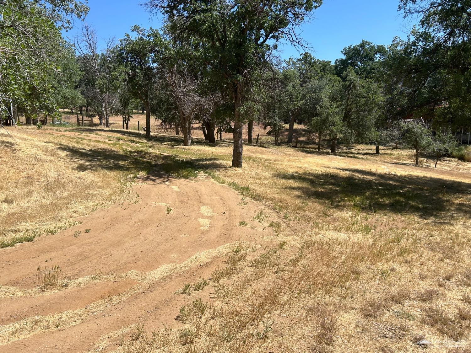 Country Oaks Street photo 6