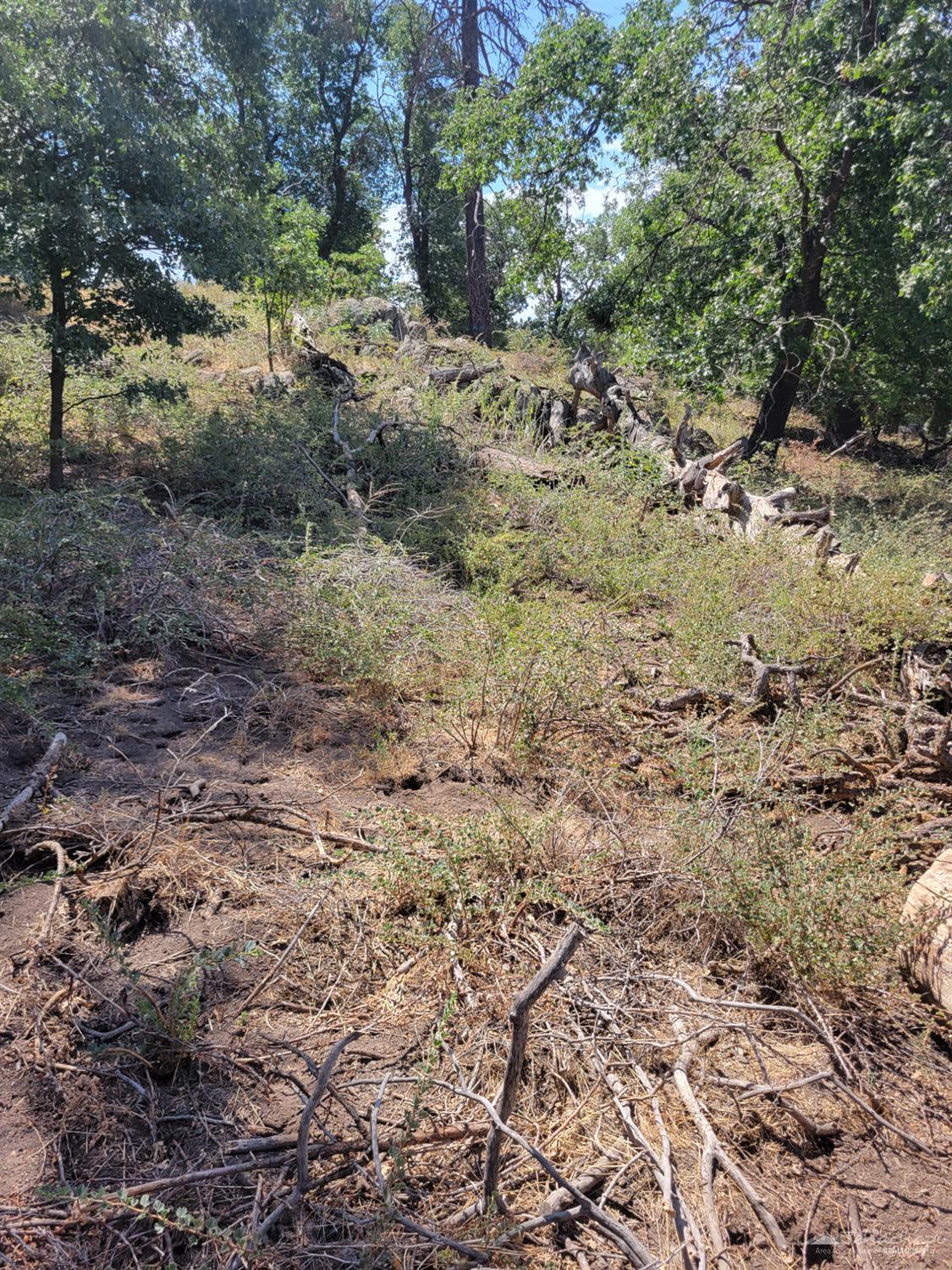 Surrey Way, Tehachapi