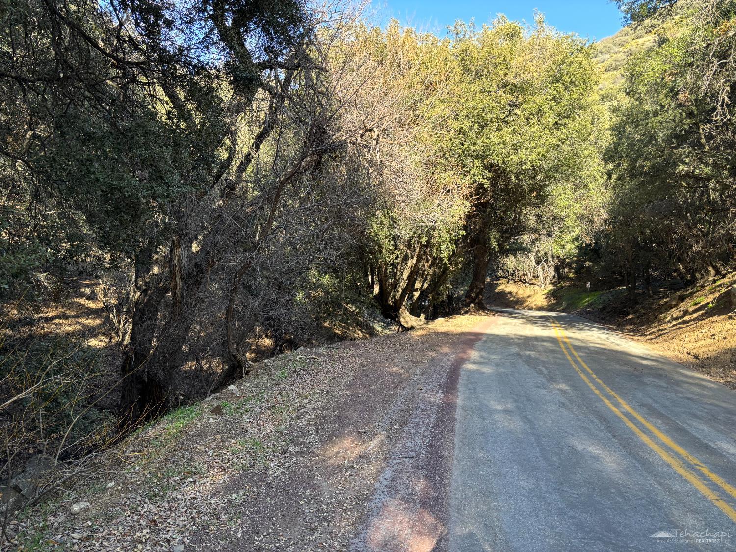 Water Canyon Rd photo 3