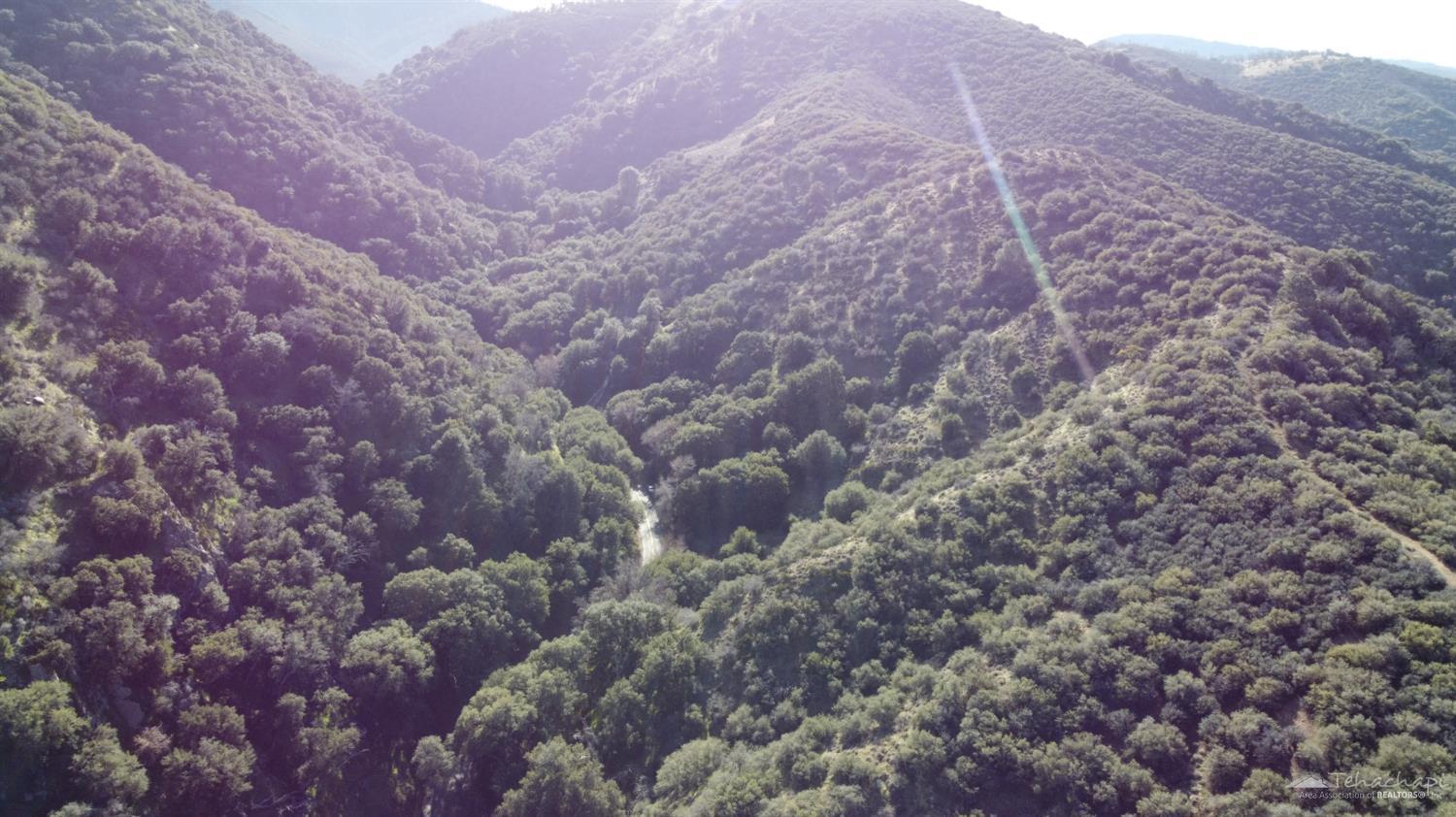 Water Canyon Rd photo 2