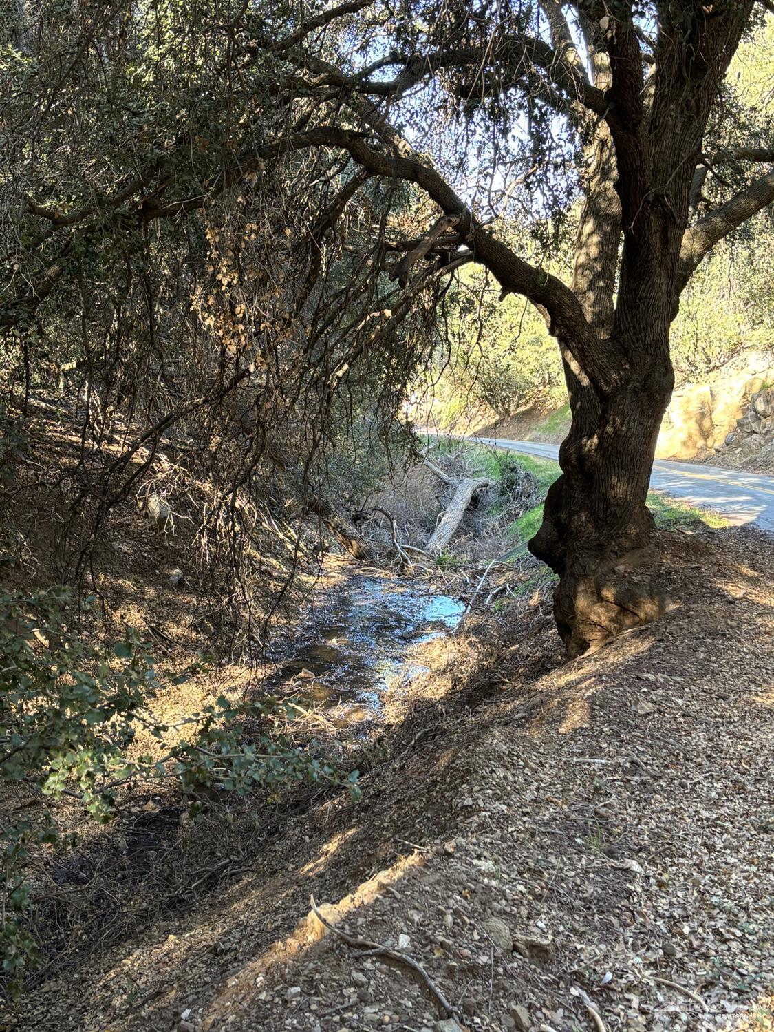 Water Canyon Rd photo 4