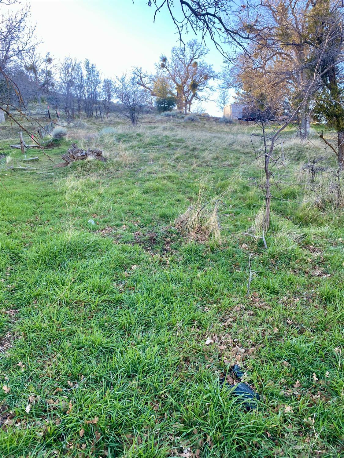 William Tell Trail photo 2