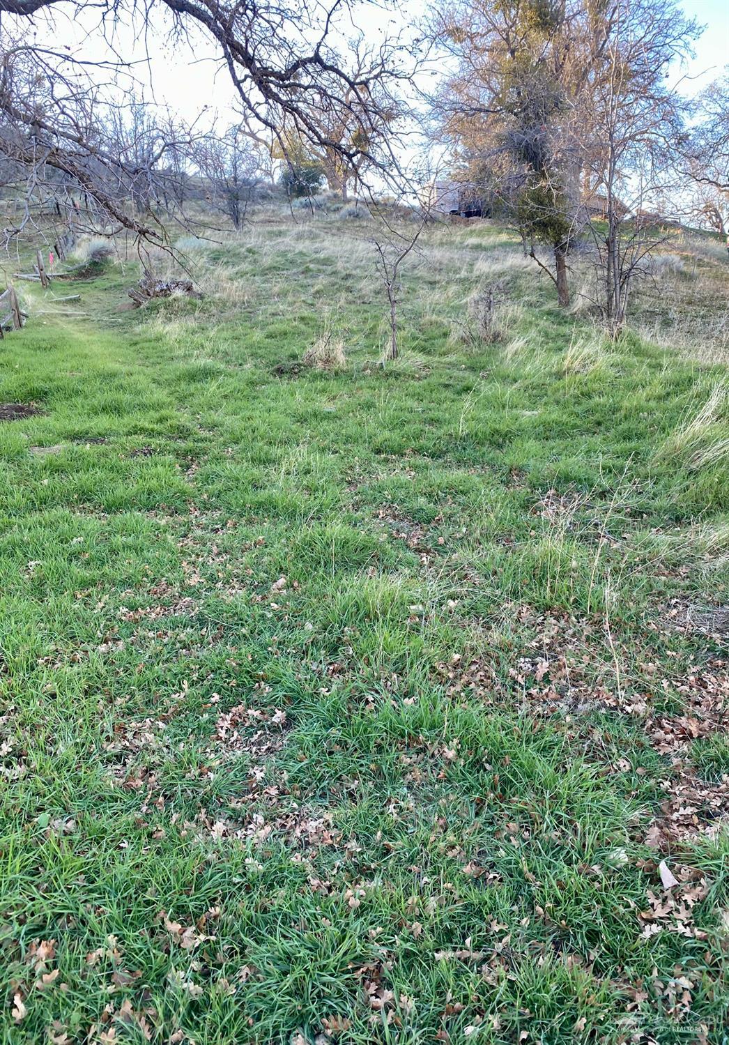 William Tell Trail photo 7