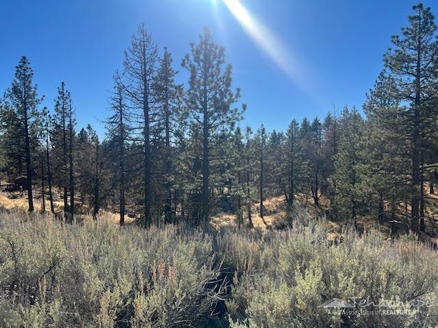 Paramount Drive, Bear Valley Springs