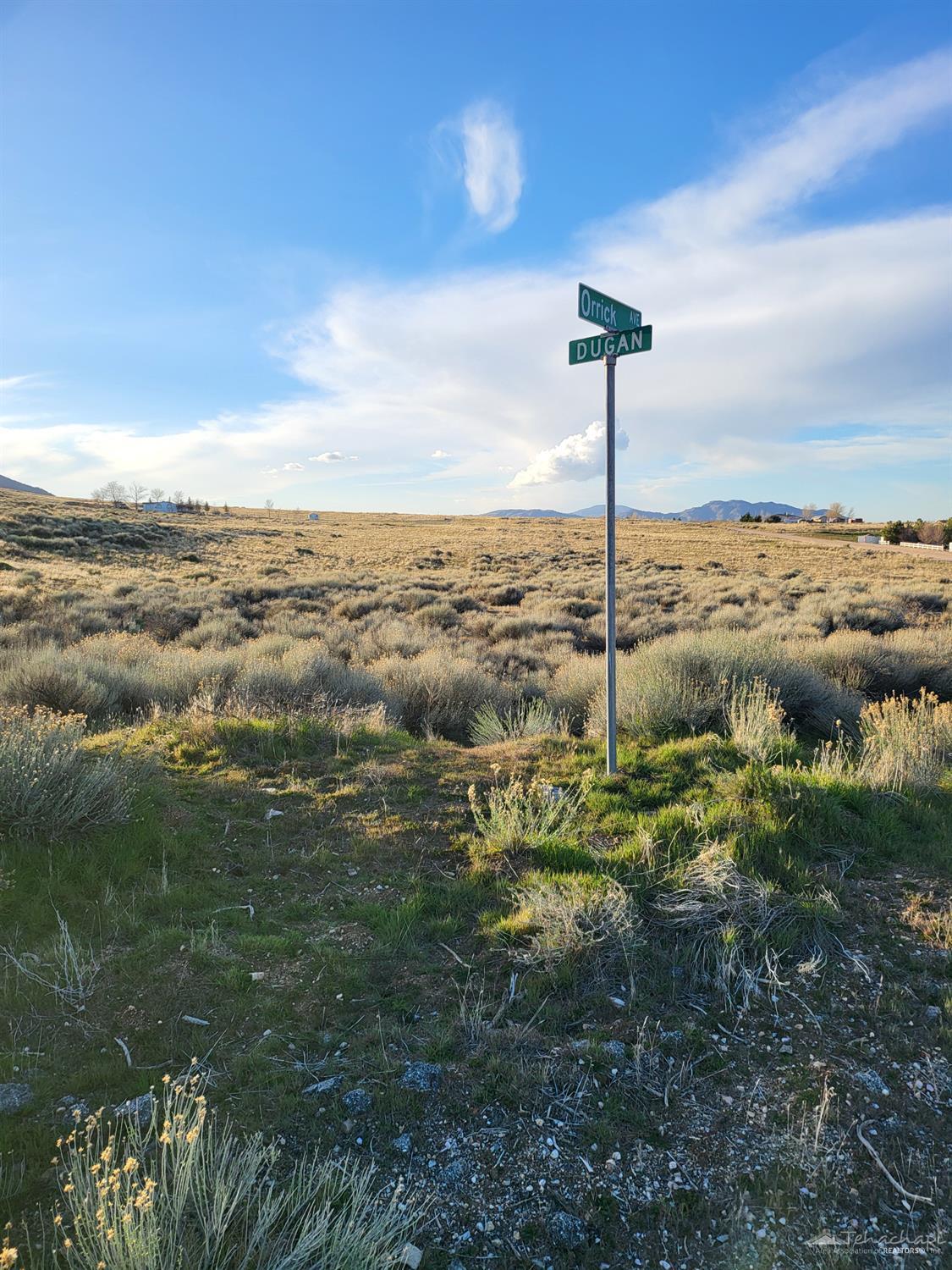 Orrick Avenue Lot 370 photo 3