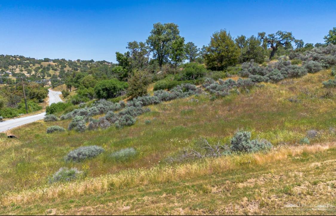 Jacks Hill Road photo 7