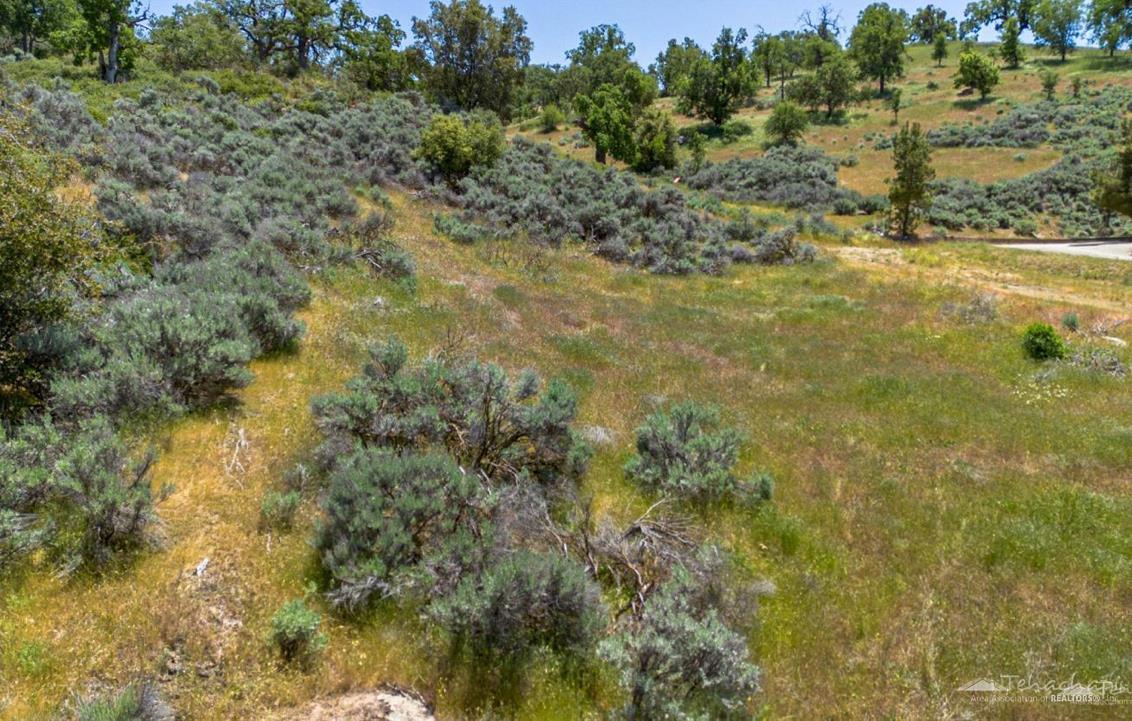 Jacks Hill Road photo 6