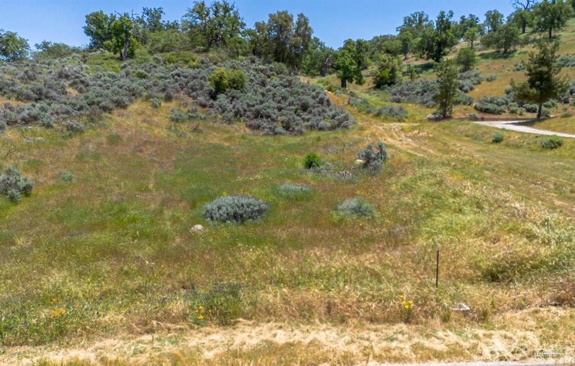 Jacks Hill Road photo 5
