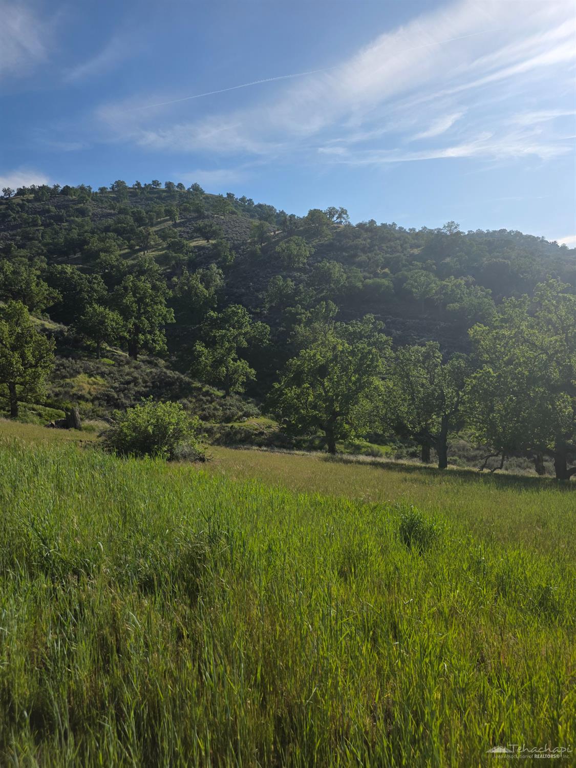 Forward Pass Court, Tehachapi