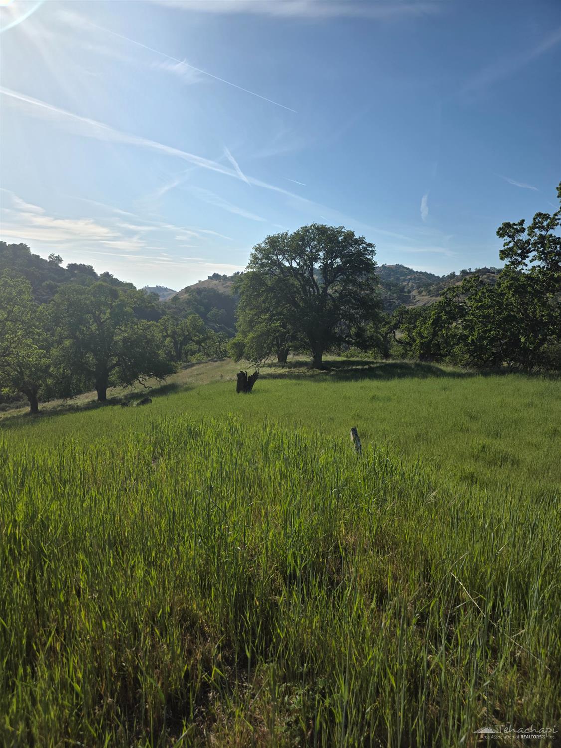 Forward Pass, Tehachapi