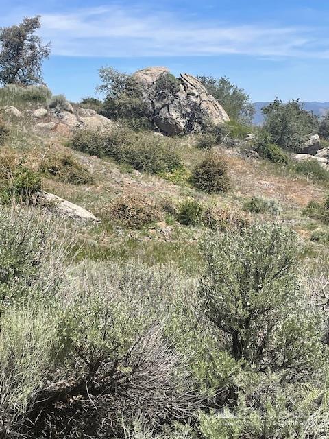 Jacaranda Drive, Tehachapi