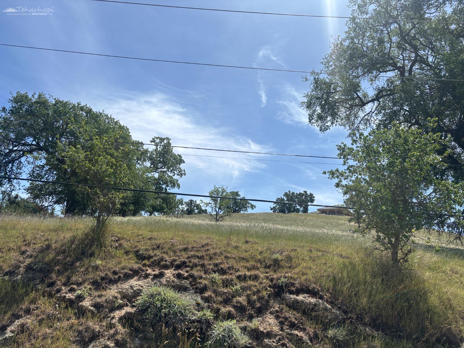 Buckskin Drive photo 5