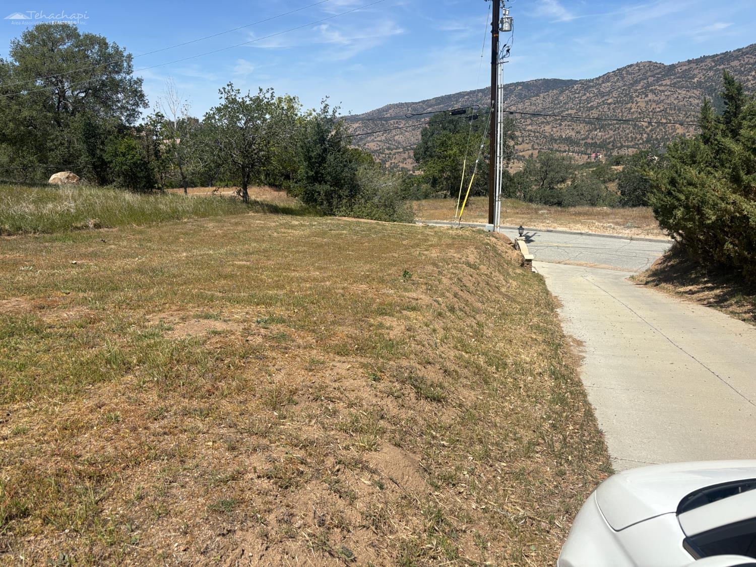 Buckskin Drive photo 7