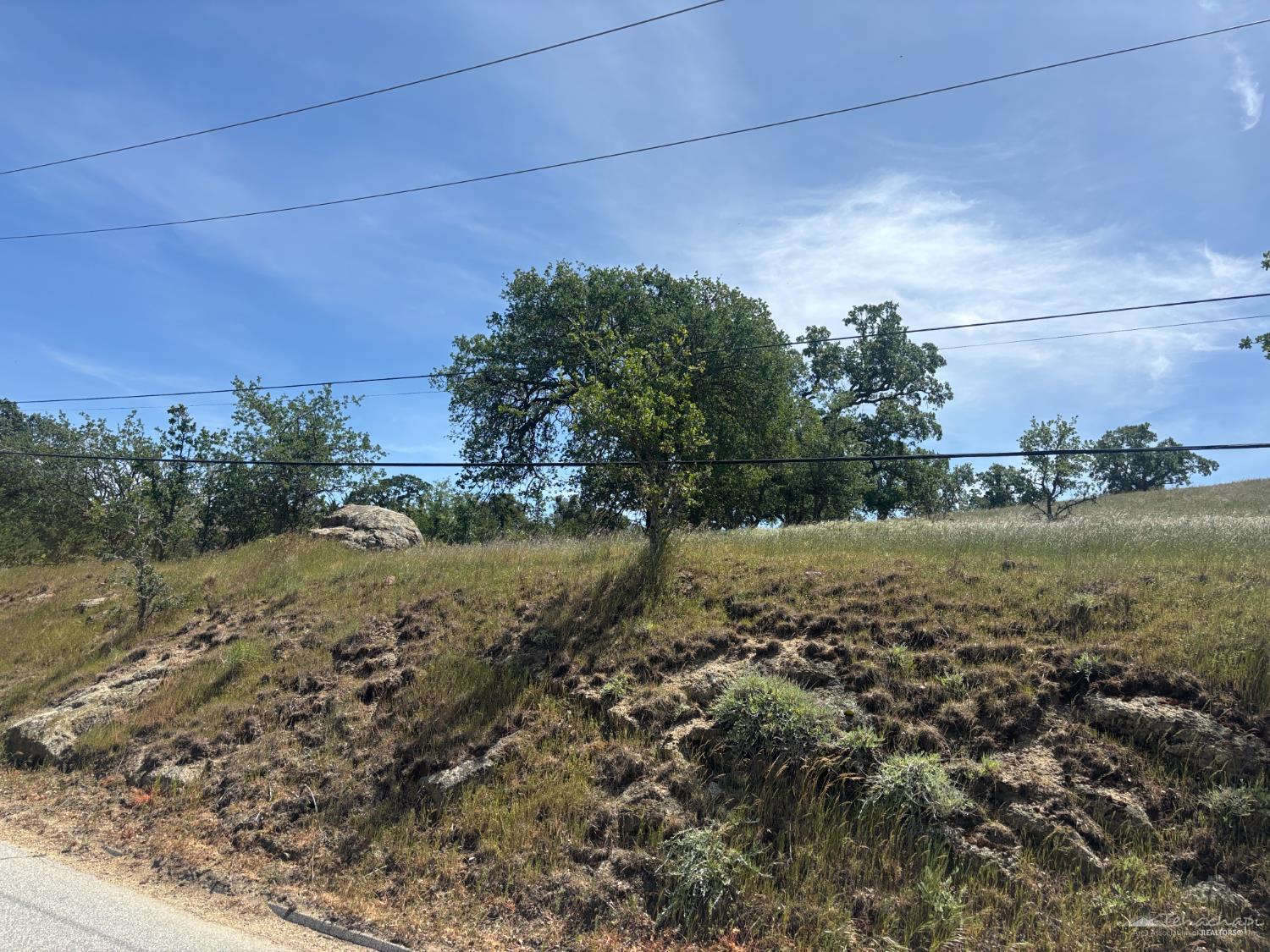 Buckskin Drive photo 4