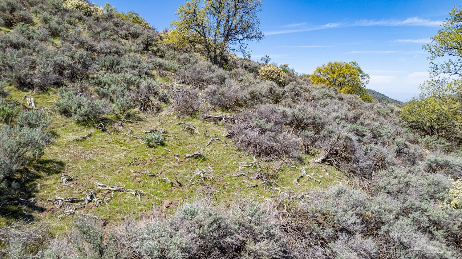 Shut Out PL photo 18