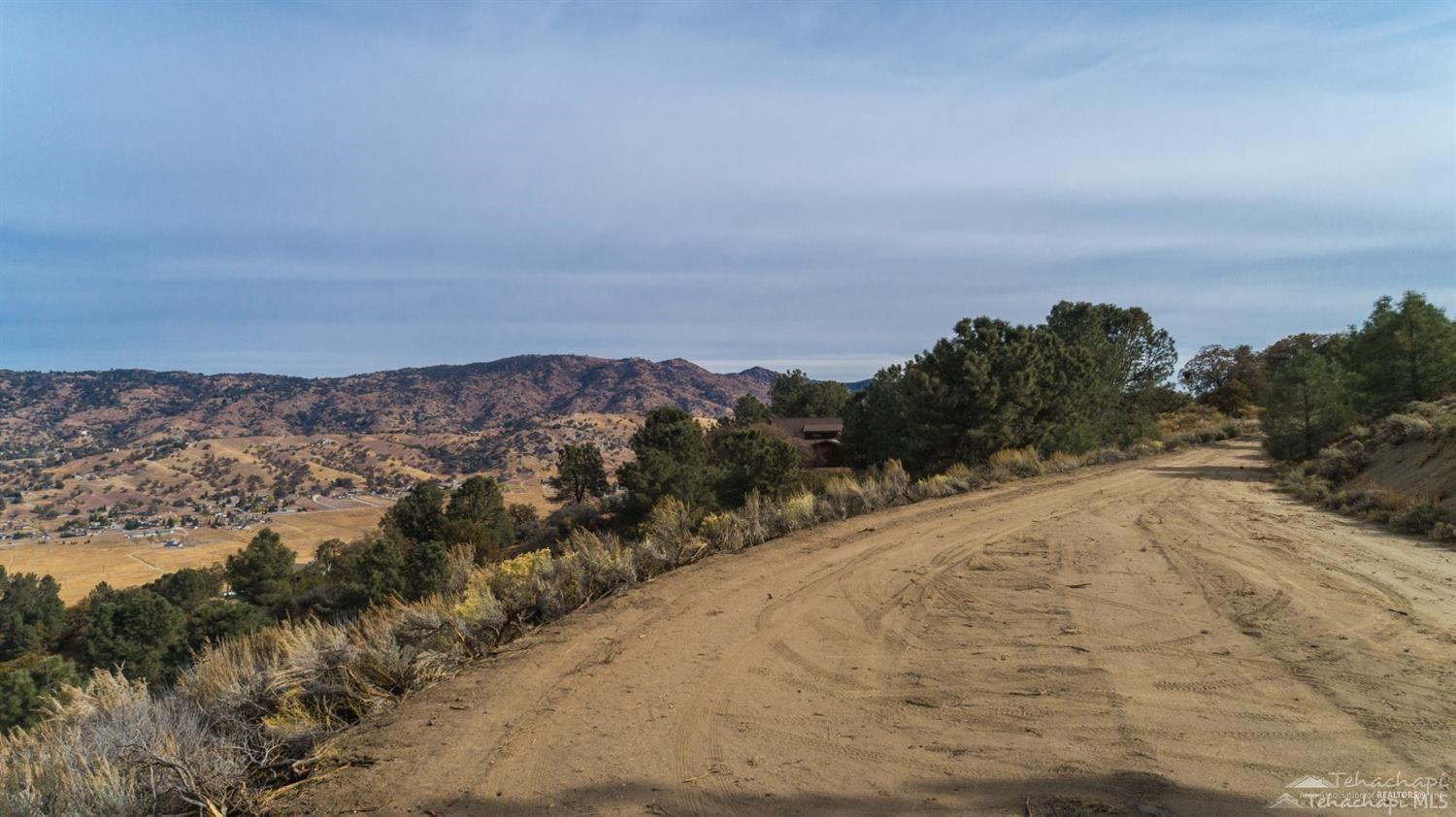 Saddleback Drive photo 14