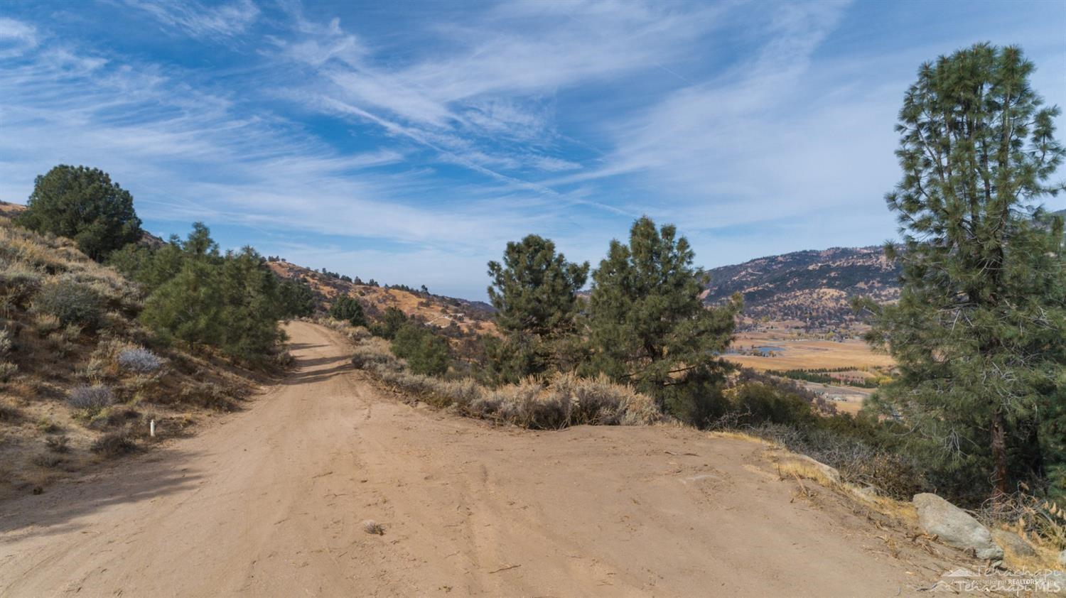 Saddleback Drive photo 10