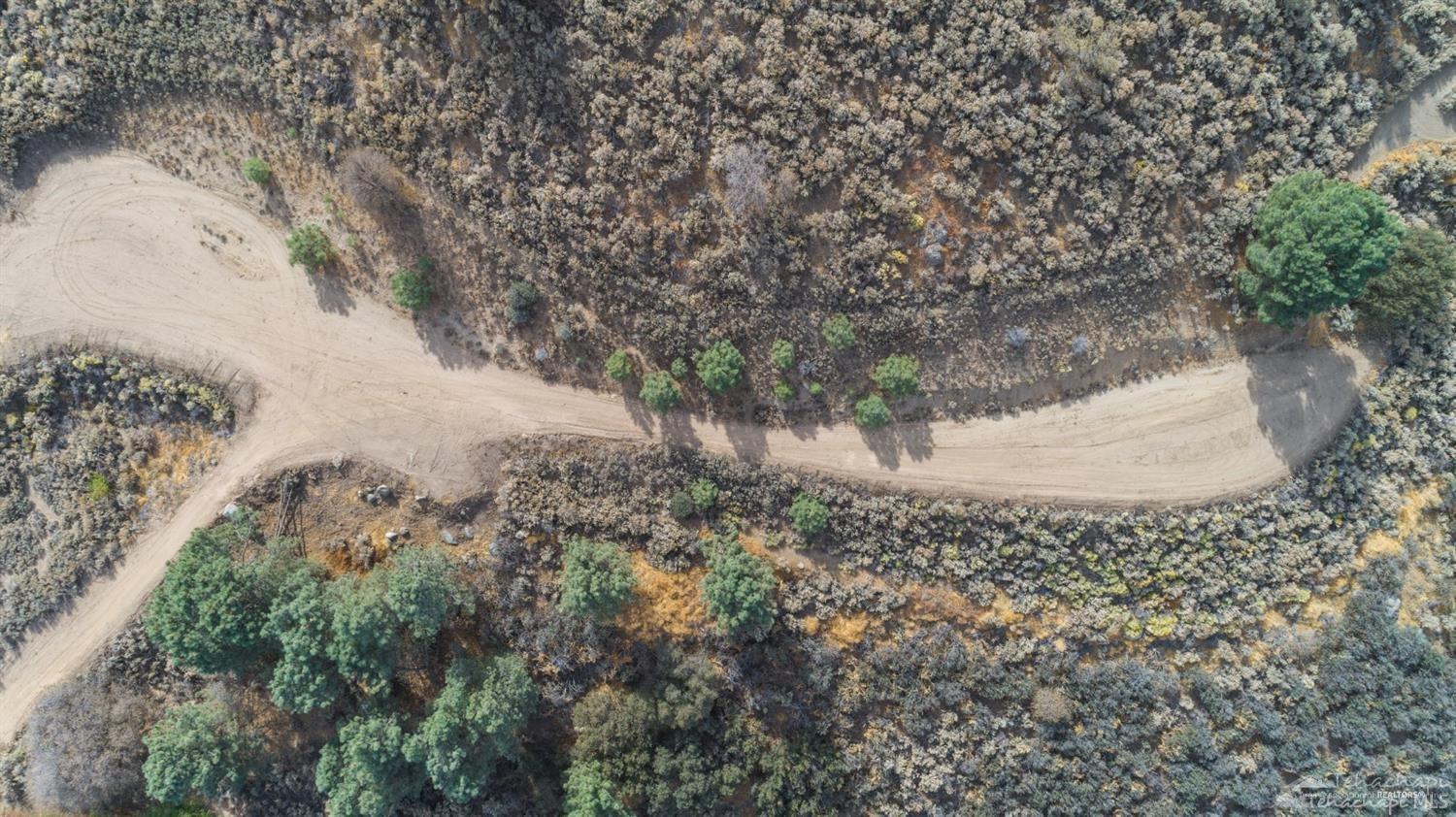 Saddleback Drive photo 6