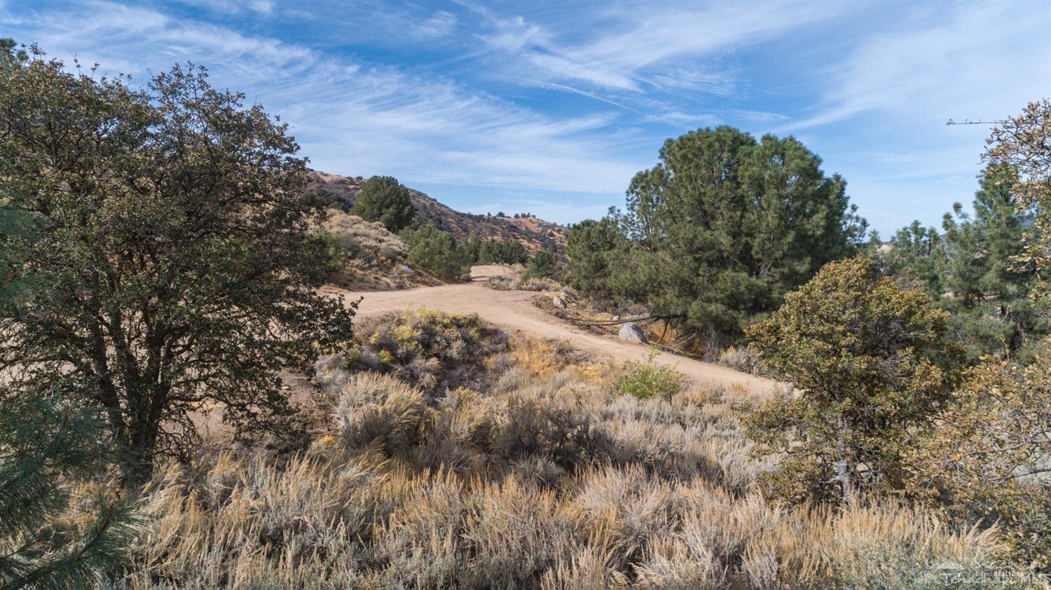 Saddleback Drive photo 9