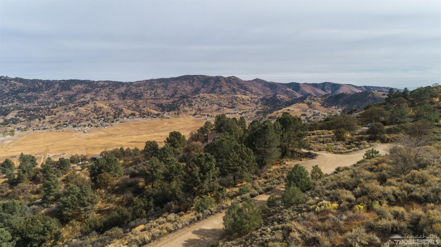 Saddleback Drive photo 11