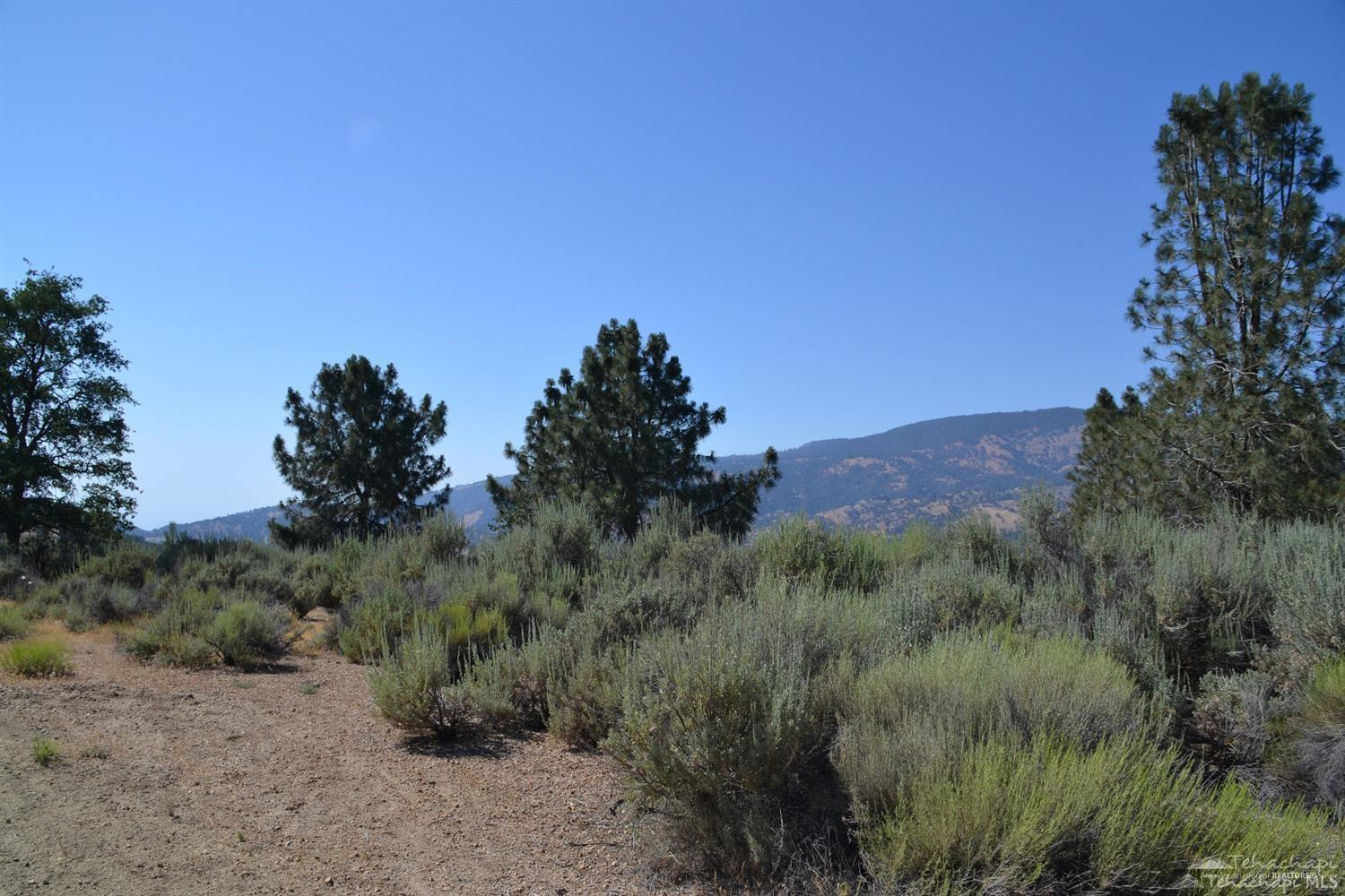 Saddleback Drive photo 16
