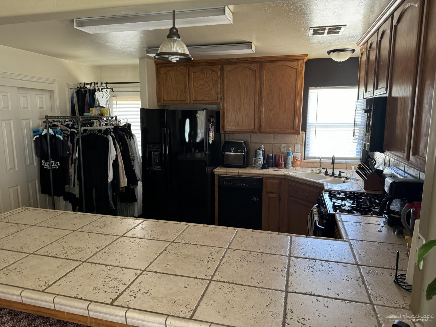 Basil Drive photo 5