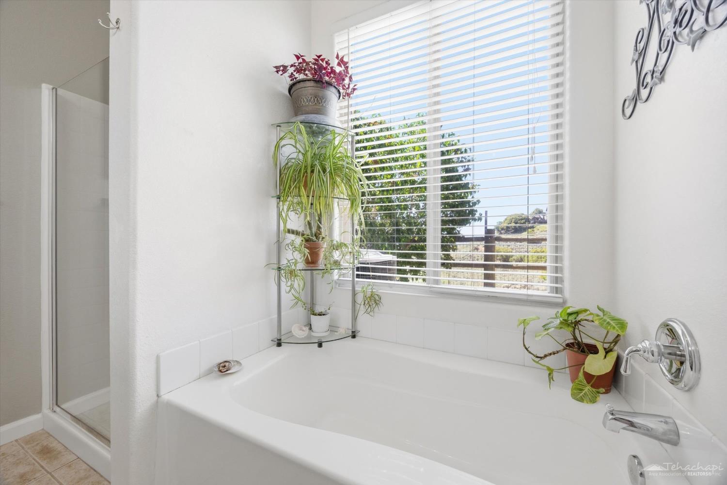 Jacaranda Drive photo 10