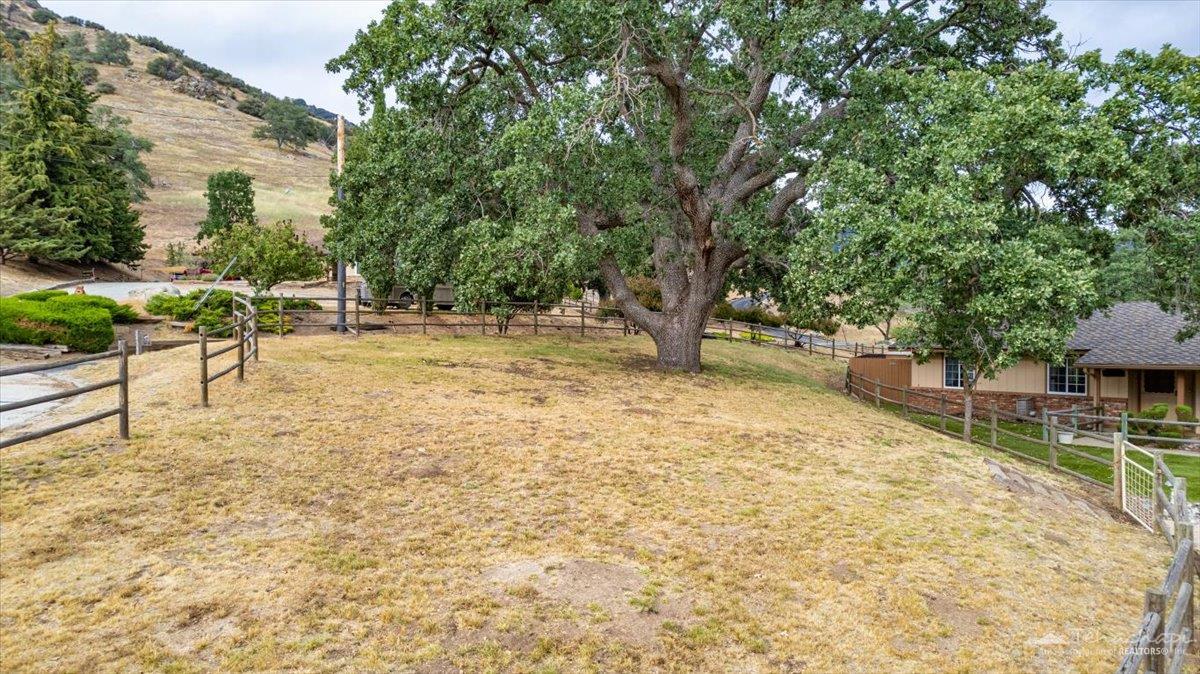 Bay Court photo 20