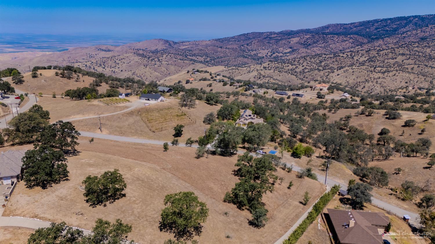 Buckskin Drive photo 9