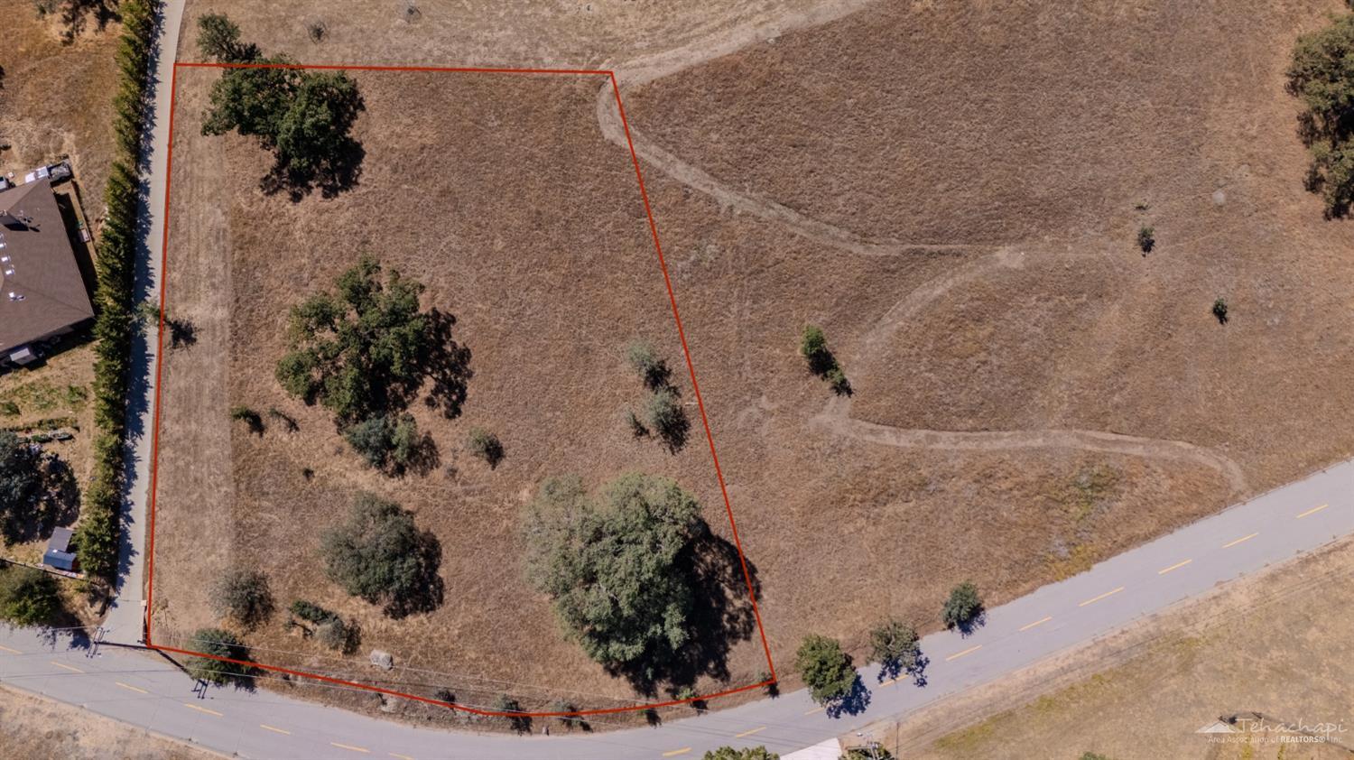 Buckskin Drive photo 2